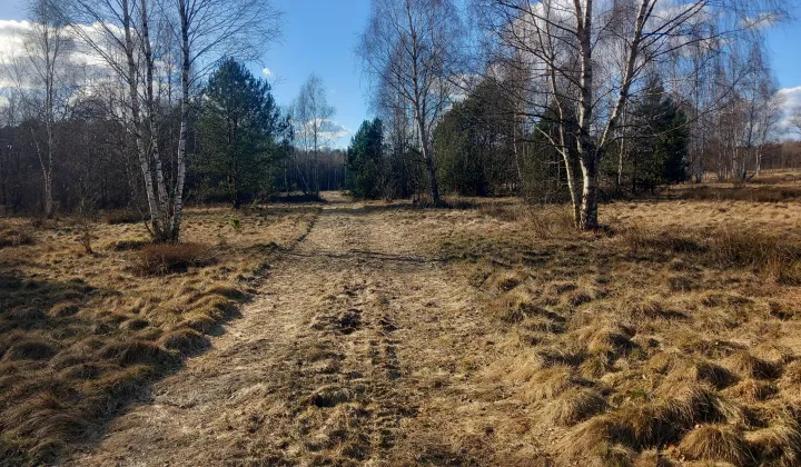 Działka rolna Zielona Góra Jarogniewice, ul. Jarogniewice