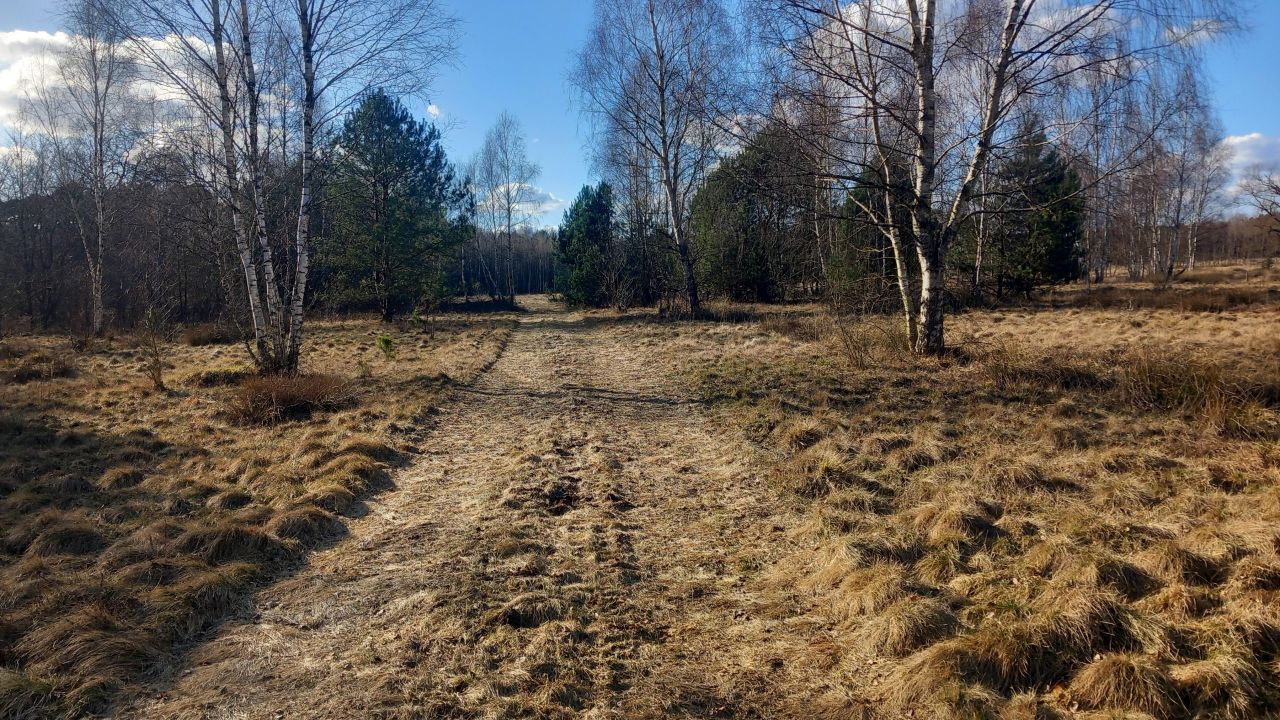 Działka rolna Zielona Góra Jarogniewice, ul. Jarogniewice. Zdjęcie 1