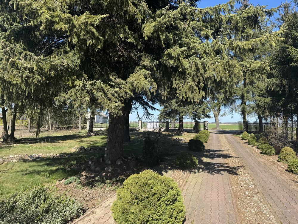 Działka budowlana Łosice. Zdjęcie 8