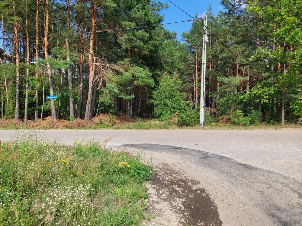 Działka Wysychy. Zdjęcie 5