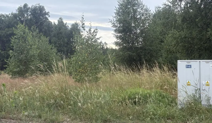 Działka budowlana Grabów nad Pilicą, ul. Kolonia Zbyszków
