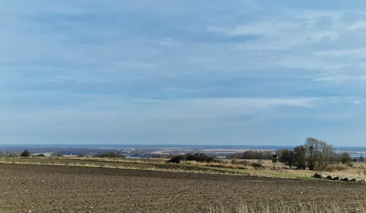 Działka rolno-budowlana Szczecin Skolwin, ul. Krajobrazowa