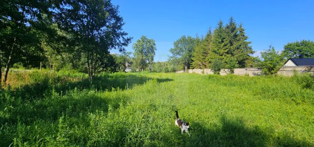 Działka budowlana Mościska. Zdjęcie 6