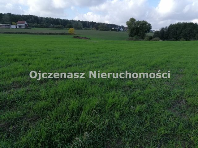 Działka budowlana Niemcz. Zdjęcie 1