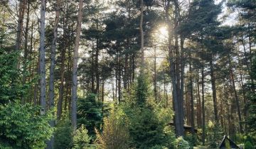 Działka rekreacyjna Ldzań