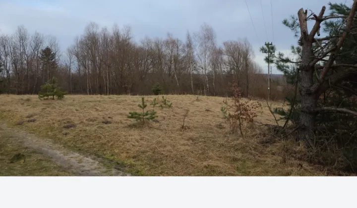 Działka rolno-budowlana Niemirów