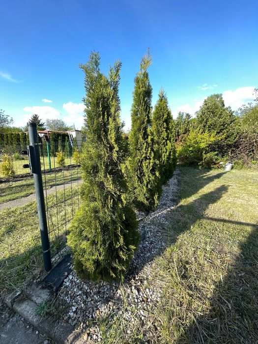 Działka rod Łódź Polesie. Zdjęcie 8