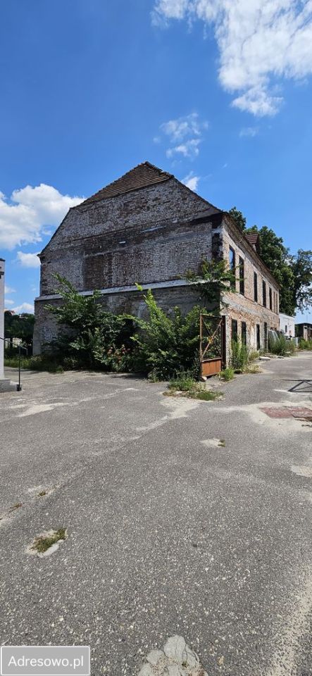 Lokal Krosno Odrzańskie, ul. Szkolna. Zdjęcie 10