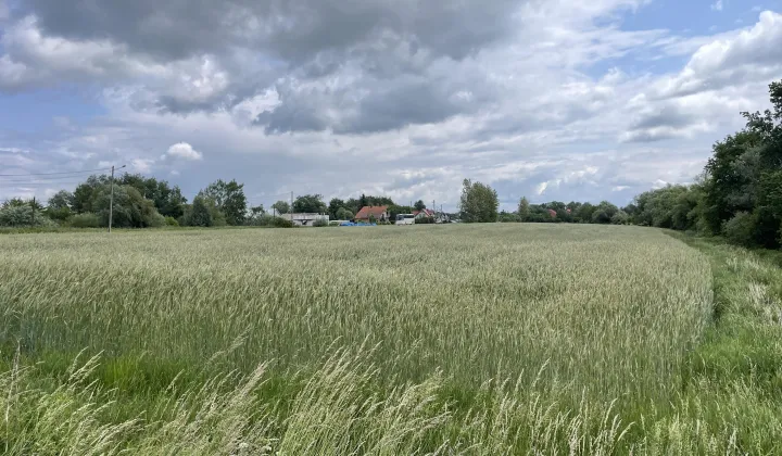 Działka budowlana Niedary, Miodowa