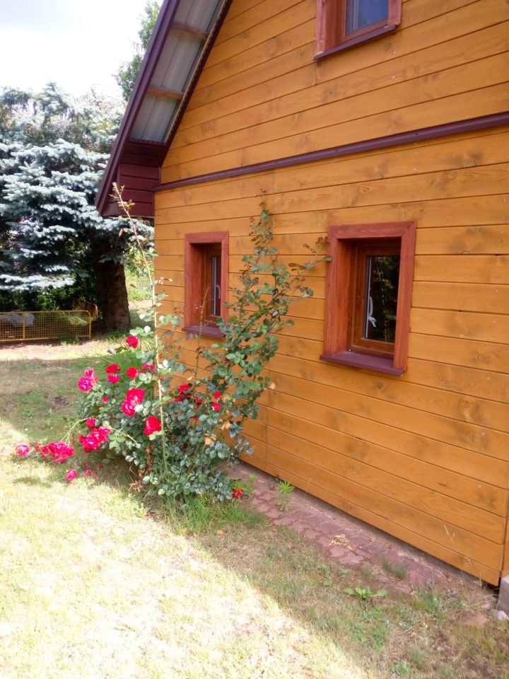 Działka leśna Niewodnica Kościelna. Zdjęcie 4