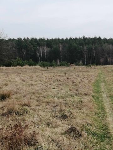 Działka budowlana Porządzie Porządzie-Kolonia. Zdjęcie 10