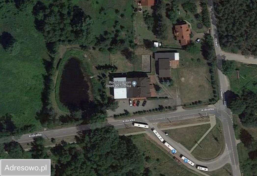 Nieruchomość komercyjna Warszawa Kobiałka, ul. Olesińska. Zdjęcie 11