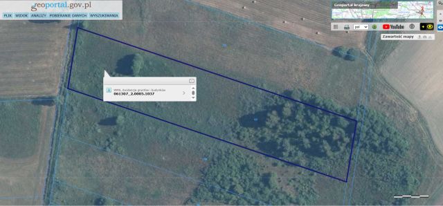 Działka rolna Lejno. Zdjęcie 1