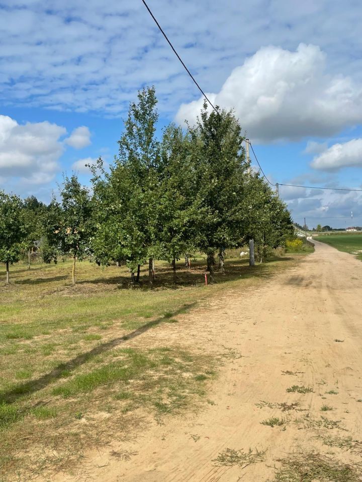 Działka budowlana Rzędziany. Zdjęcie 2