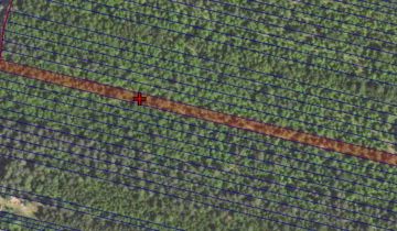 Działka leśna Kurzacze