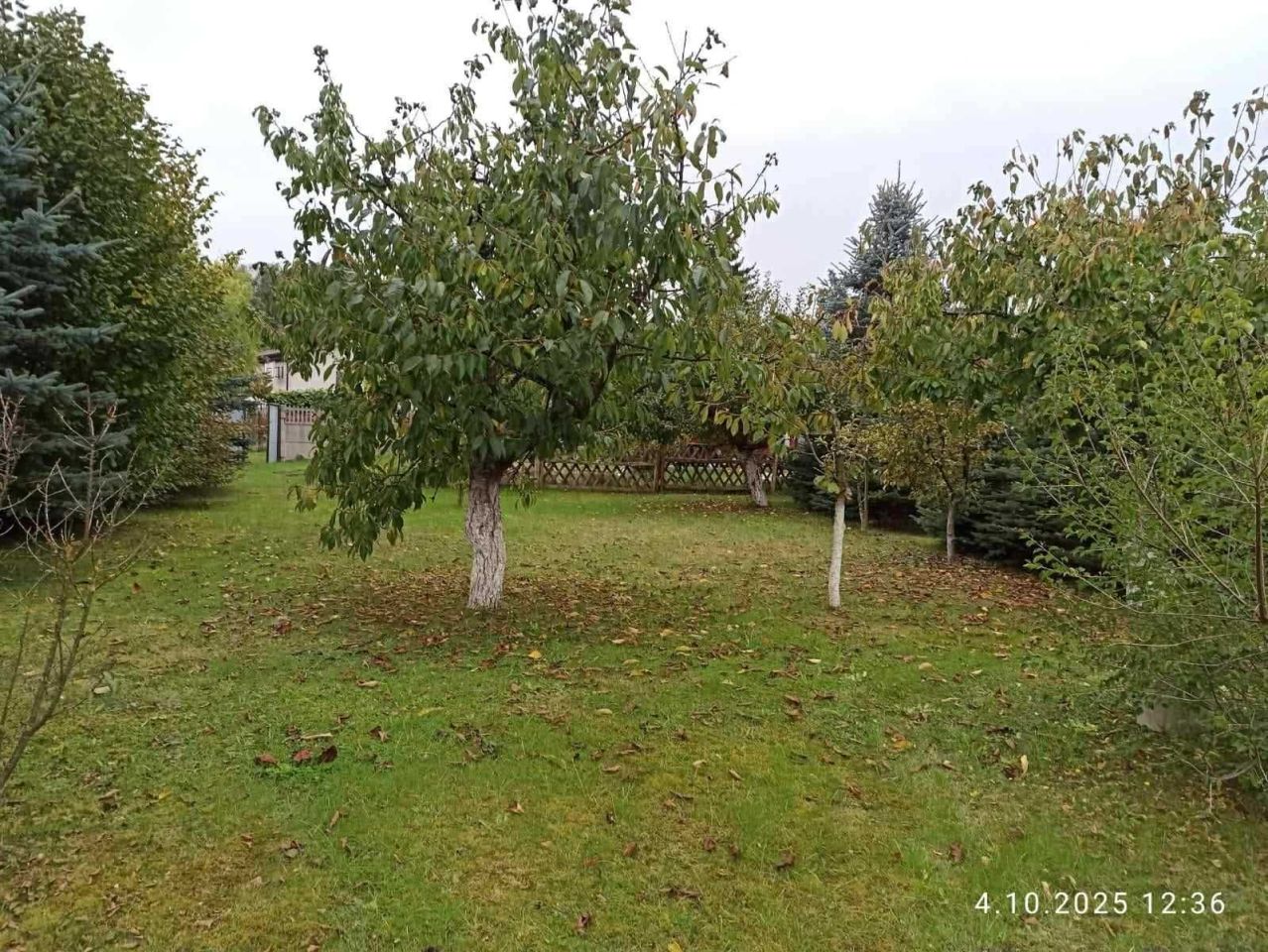 Działka Bierzwnik. Zdjęcie 6