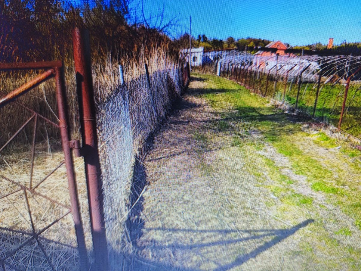 Działka budowlana Rozpędziny. Zdjęcie 2