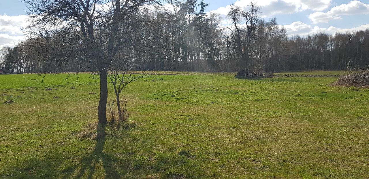 Działka budowlana Jasienin Duży. Zdjęcie 6