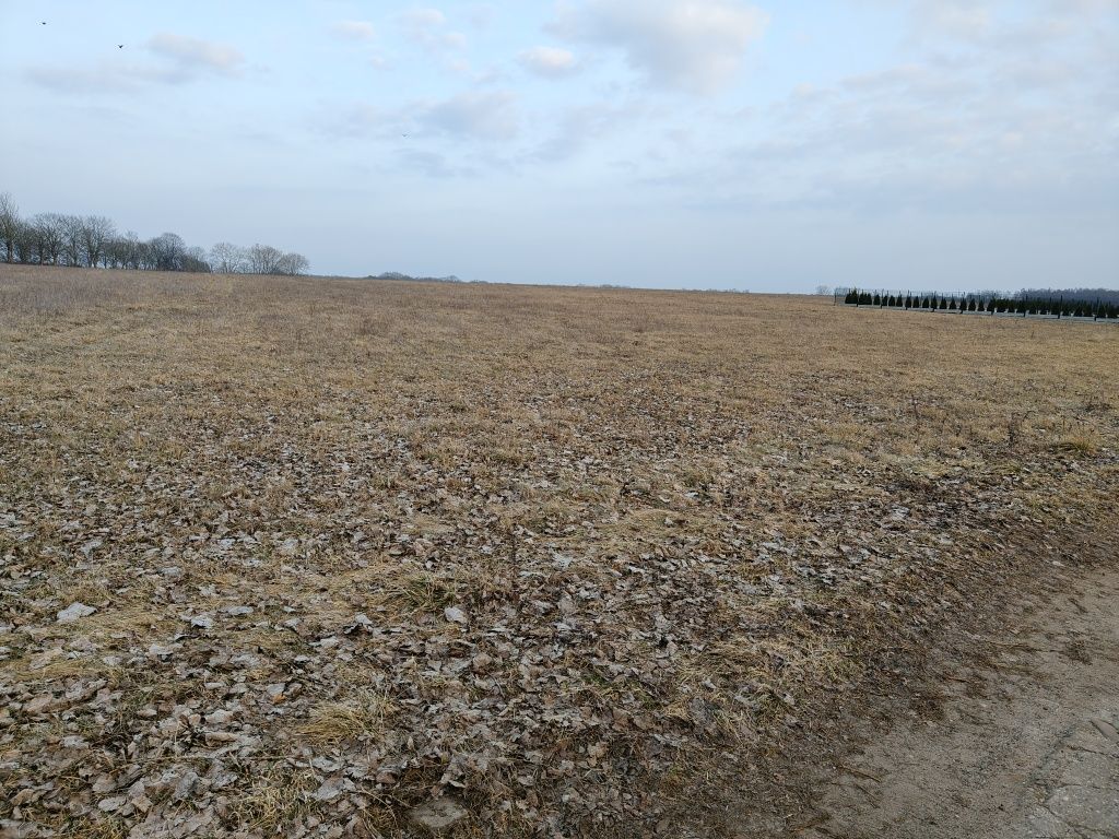 Działka budowlana Ostrzyca. Zdjęcie 4