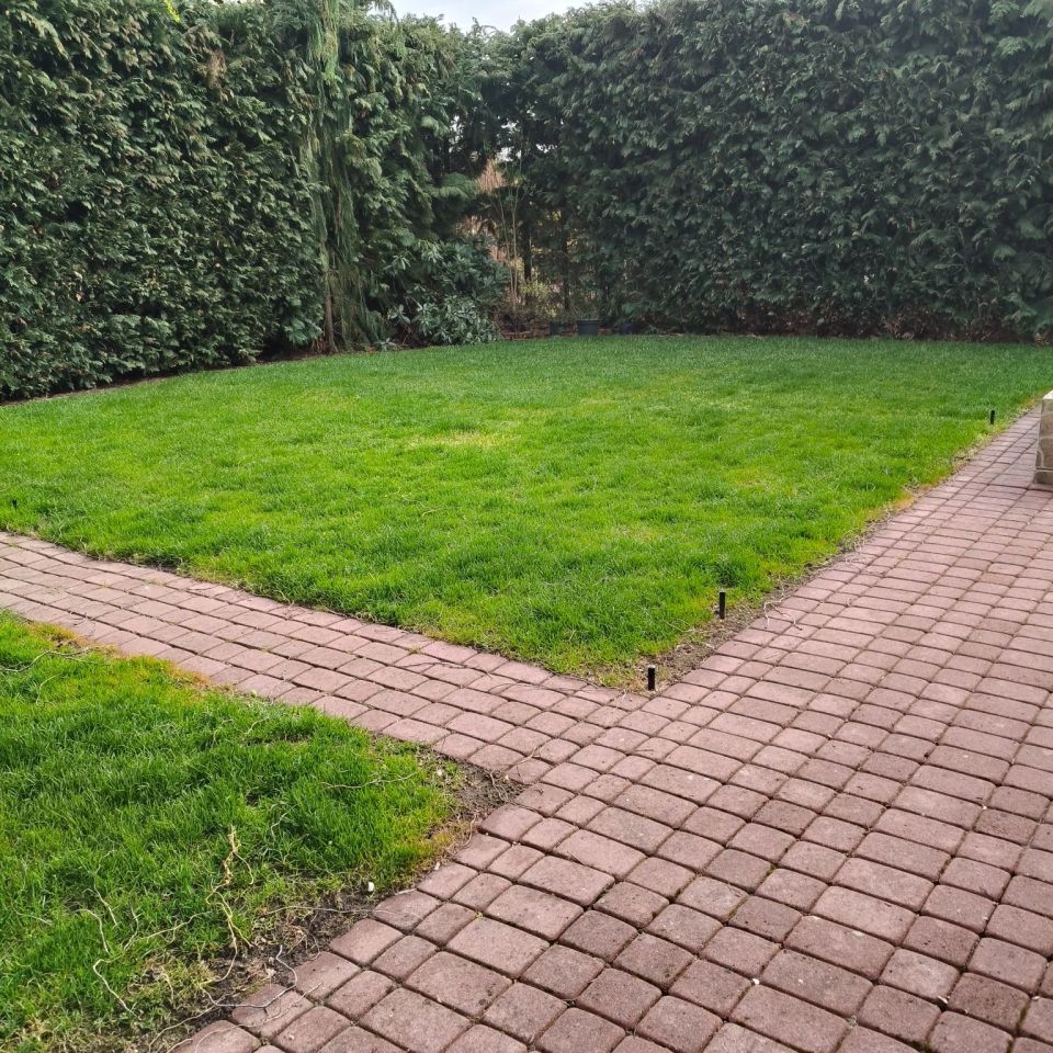 Działka rekreacyjna Złotniki, ul. Pawłowicka. Zdjęcie 6