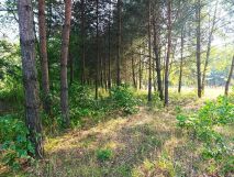 Działka budowlana Rudniki. Zdjęcie 2