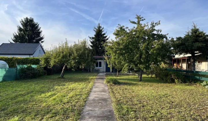 Działka rod Szczecin Dąbie