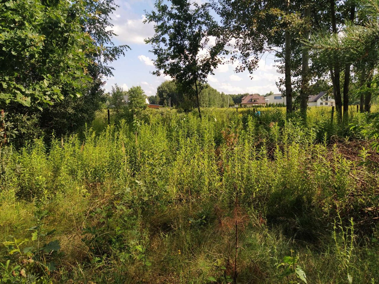 Działka rolna Turowice. Zdjęcie 6