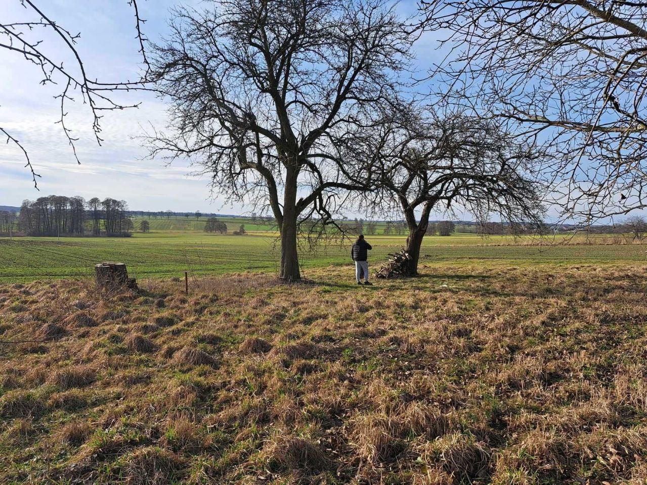 Działka budowlana Góra. Zdjęcie 3