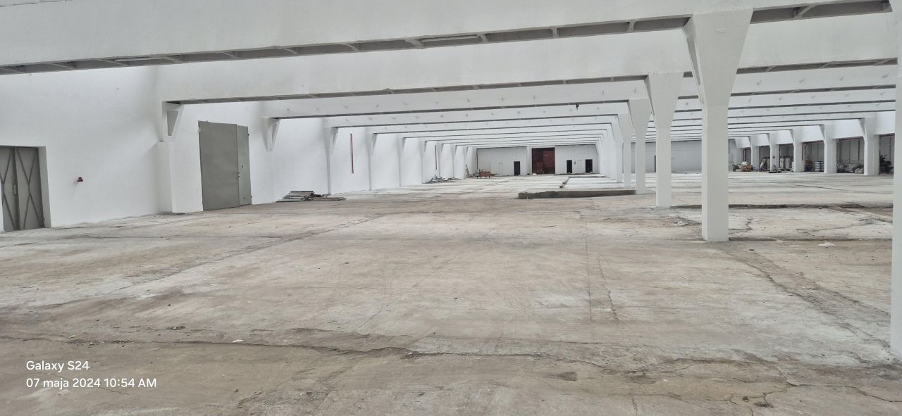 Hala/magazyn Ozorków, ul. Łęczycka. Zdjęcie 5