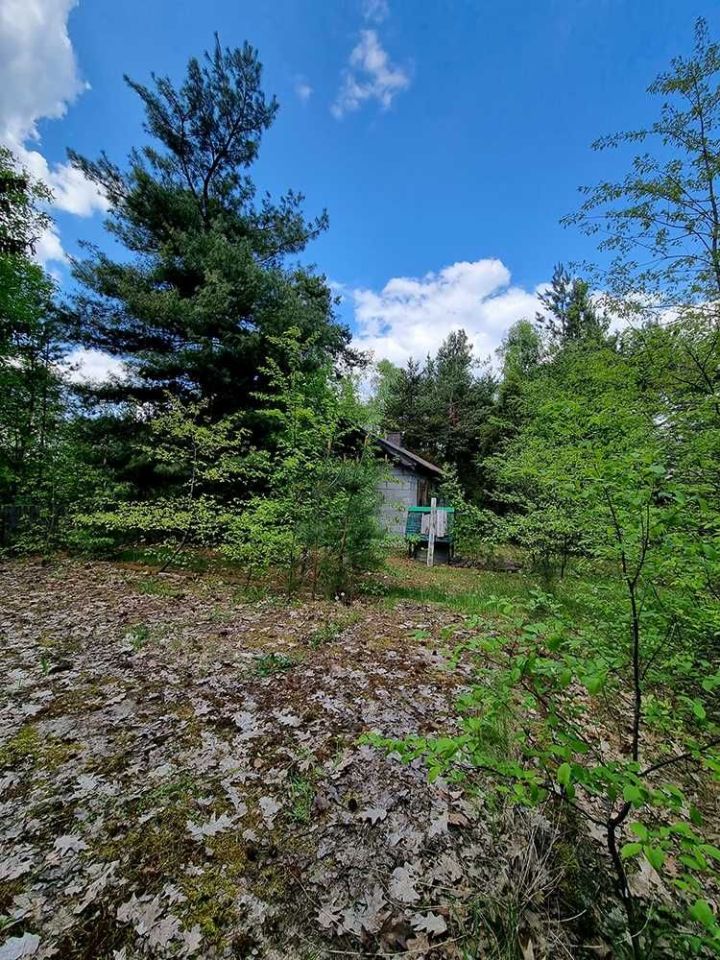 Działka Rogożek. Zdjęcie 4