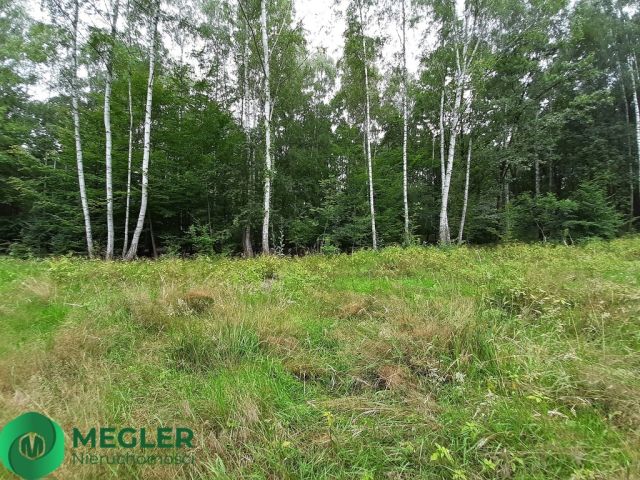 Działka budowlana Podkowa Leśna. Zdjęcie 4