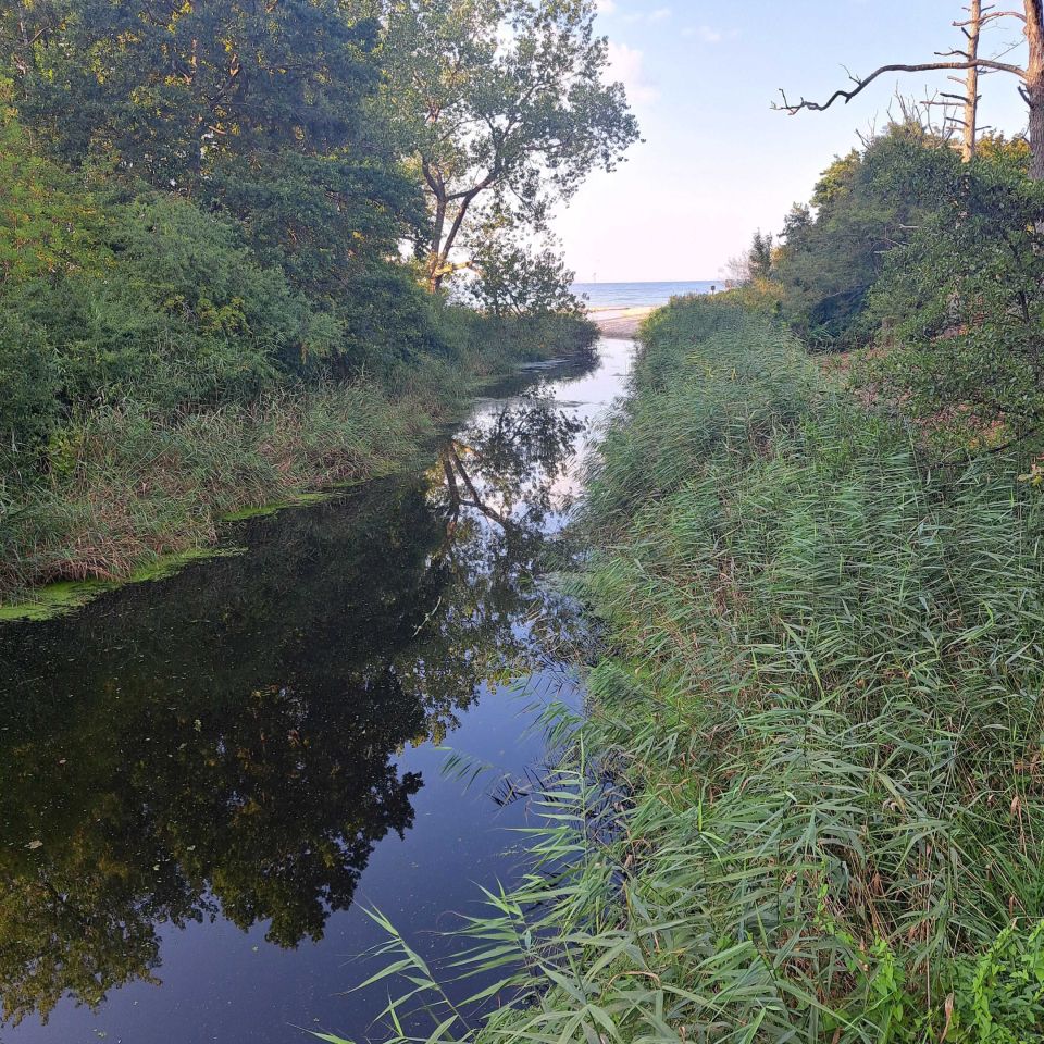 Działka budowlana Łasin Koszaliński. Zdjęcie 2