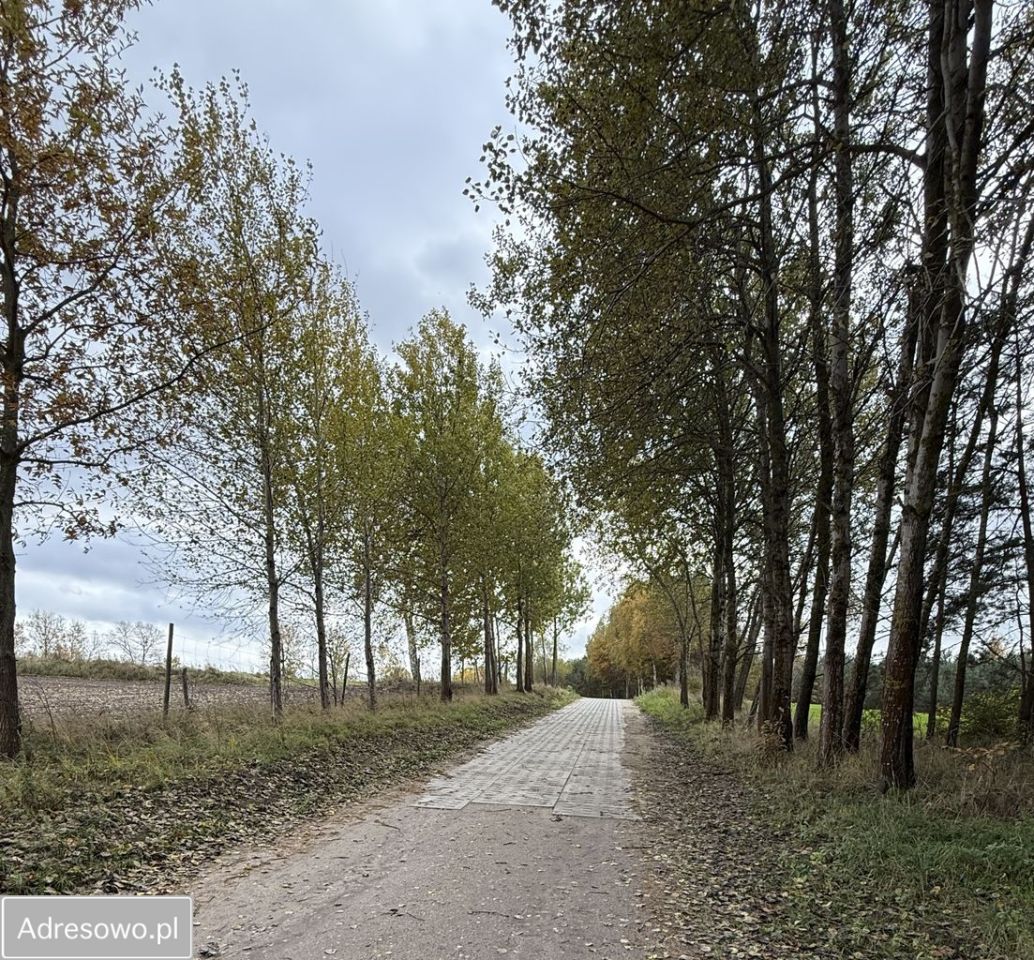 Działka budowlana Semlin, os. Leśne. Zdjęcie 8