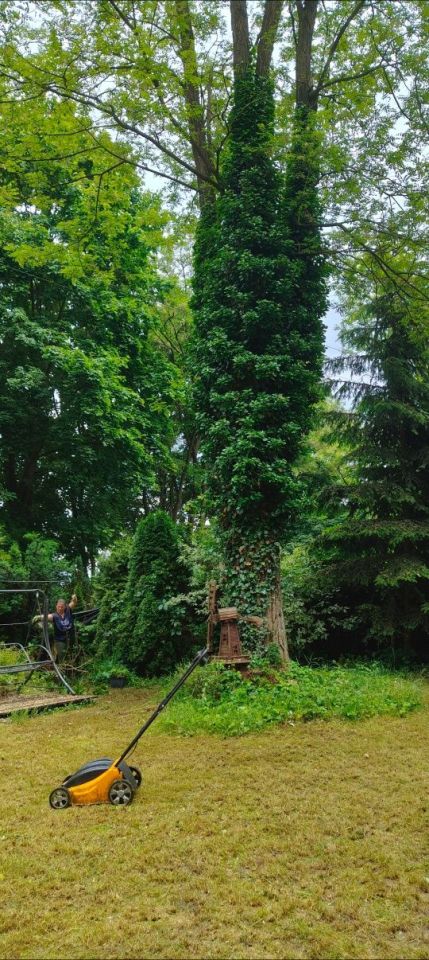 Działka rekreacyjna Przeczyce. Zdjęcie 7