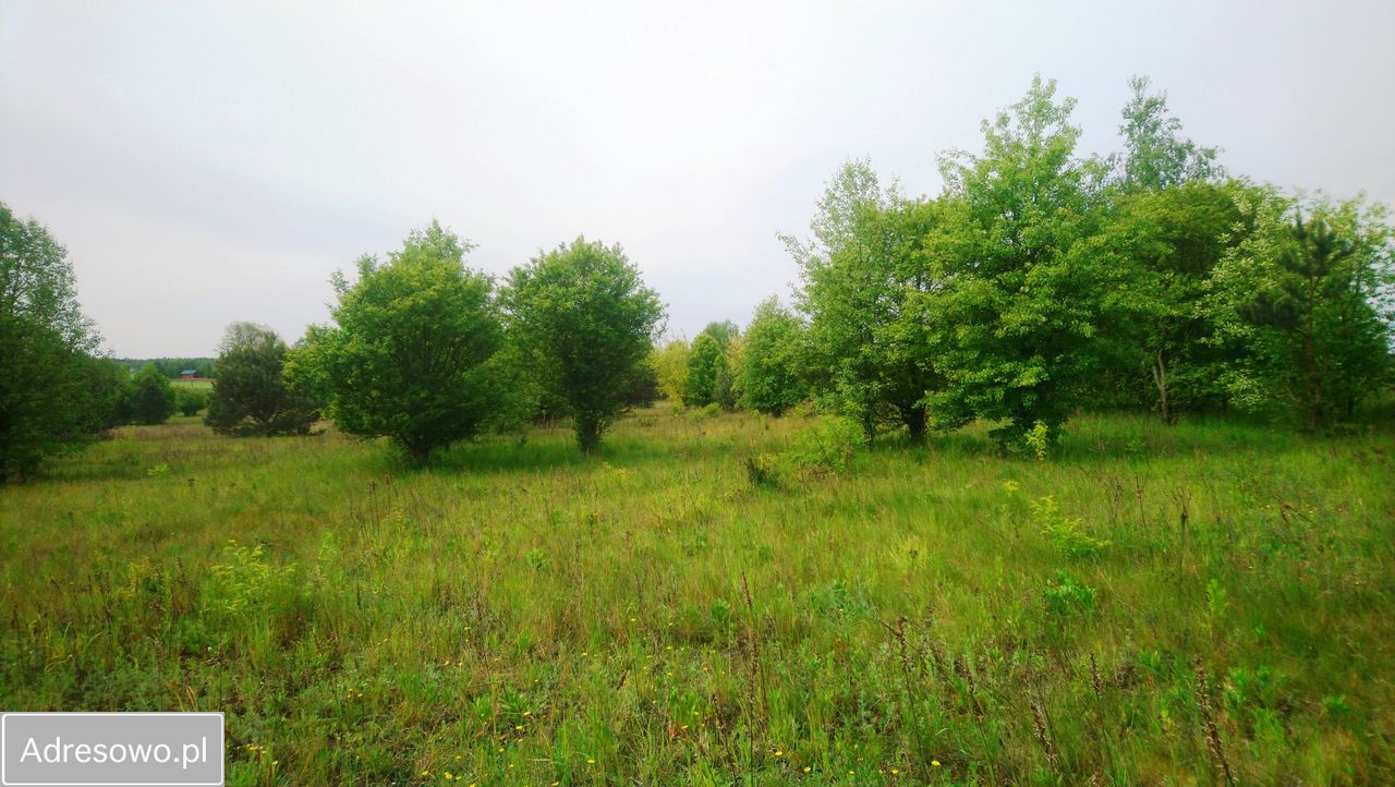 Działka budowlana Popielżyn-Zawady. Zdjęcie 2