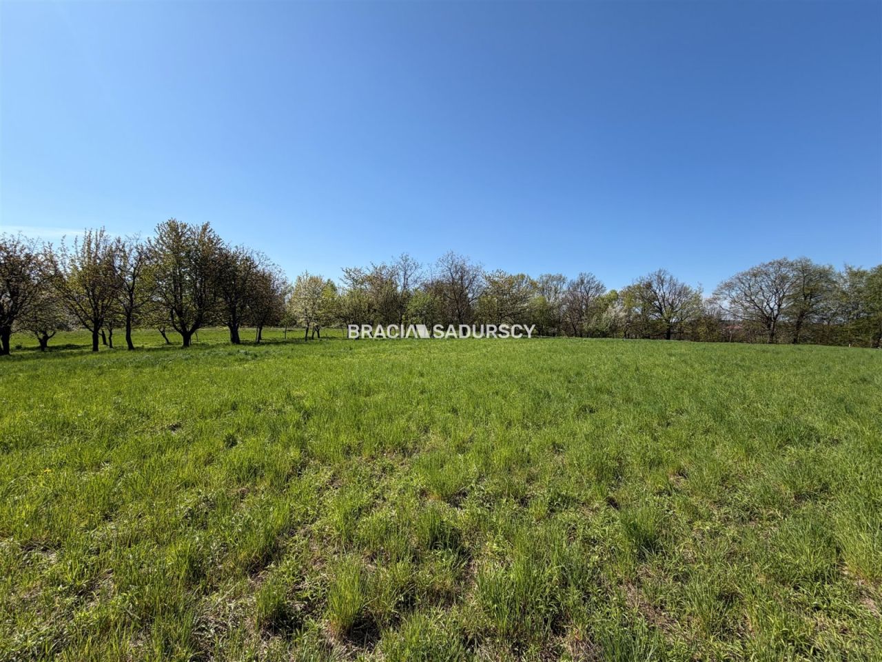 Działka rolno-budowlana Lednica Górna. Zdjęcie 5