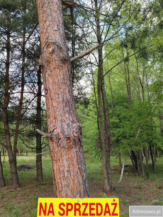 Działka budowlana Bratucice. Zdjęcie 7