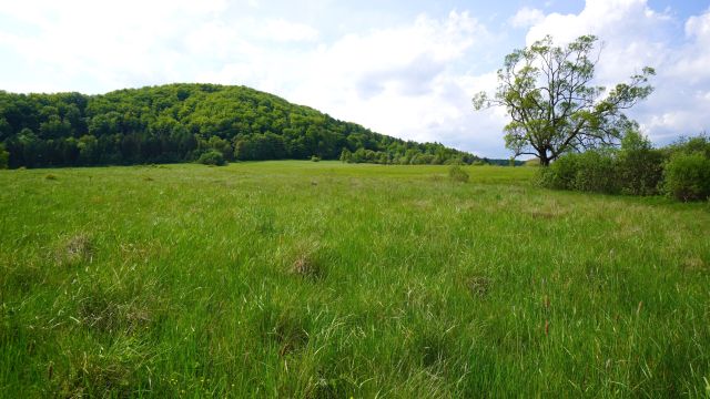 Działka rolno-budowlana Hańczowa. Zdjęcie 1