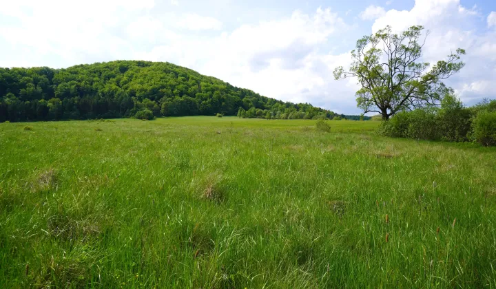 Działka rolno-budowlana Hańczowa