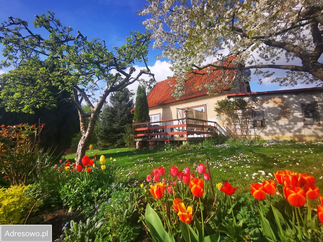 dom wolnostojący, 3 pokoje Jaromierz. Zdjęcie 4
