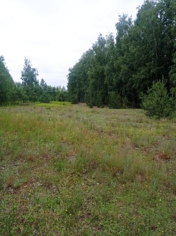Działka inna Karolew. Zdjęcie 1