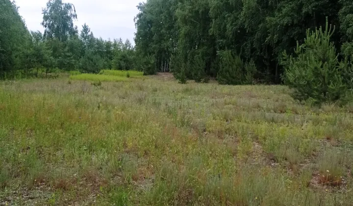 Działka inna Karolew