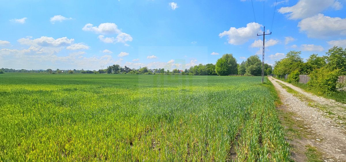 Działka budowlana Bieniewice, ul. Słowicza. Zdjęcie 3