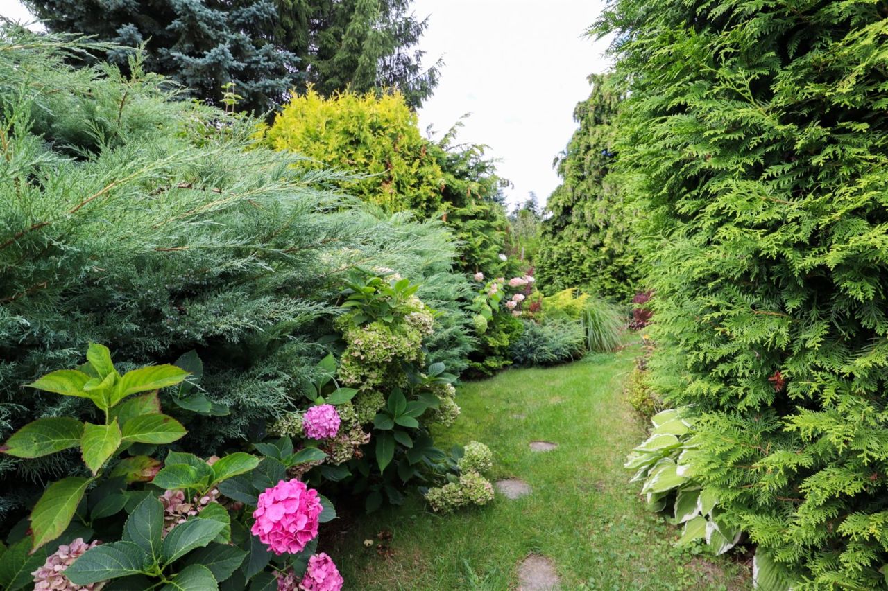 Działka rekreacyjna Nakło nad Notecią. Zdjęcie 5