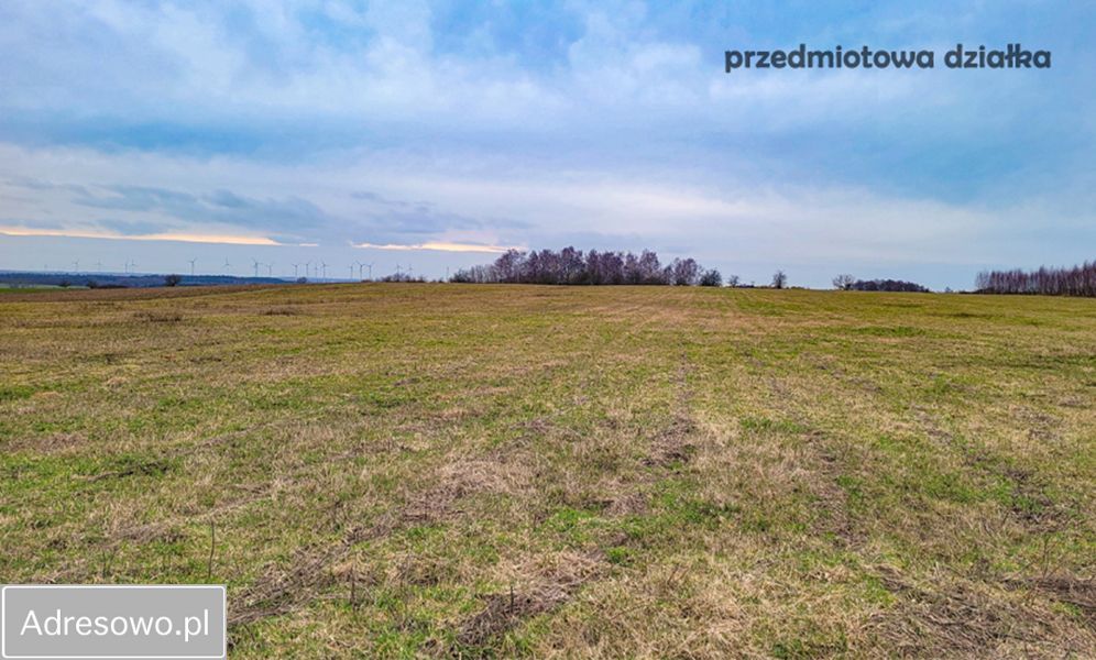 Działka inwestycyjna Barnisław. Zdjęcie 5