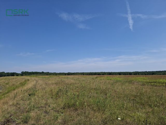 Działka inna Gierałtowice. Zdjęcie 7