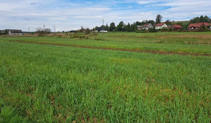 Działka budowlana Opacionka