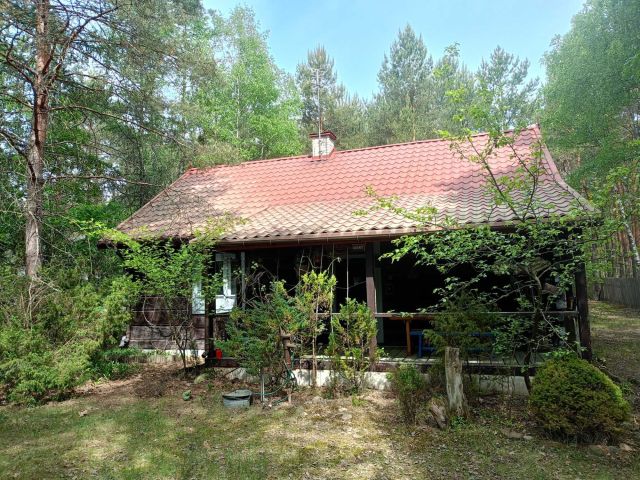 Działka rekreacyjna Cyganówka. Zdjęcie 1