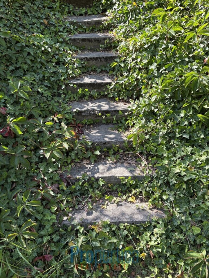 Działka budowlana Konstancin-Jeziorna, ul. Tadeusza Kościuszki. Zdjęcie 14