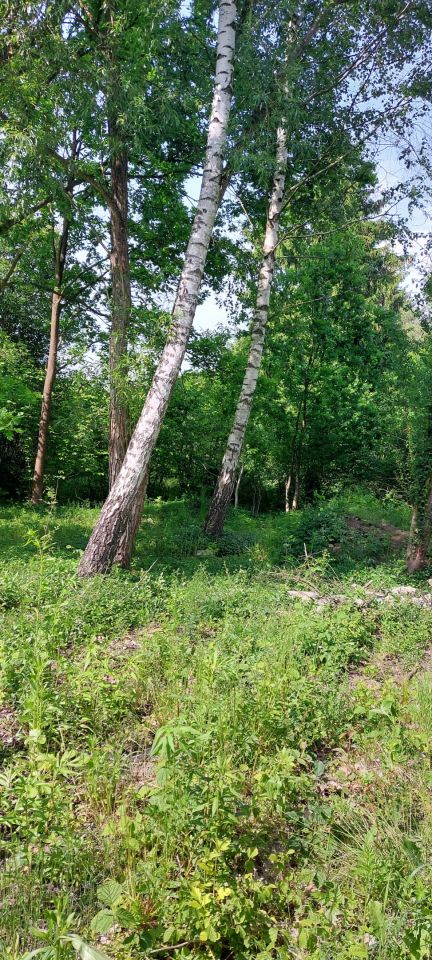 Działka budowlana Radom Krychnowice, Ludwinowska24. Zdjęcie 3